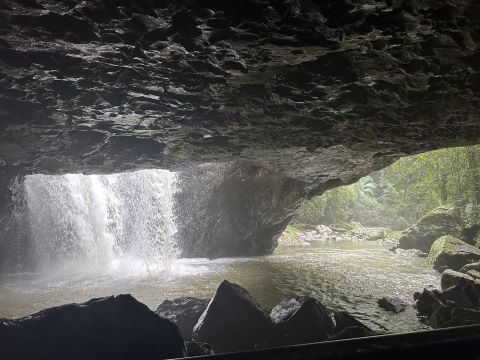 ナチュラルブリッジ